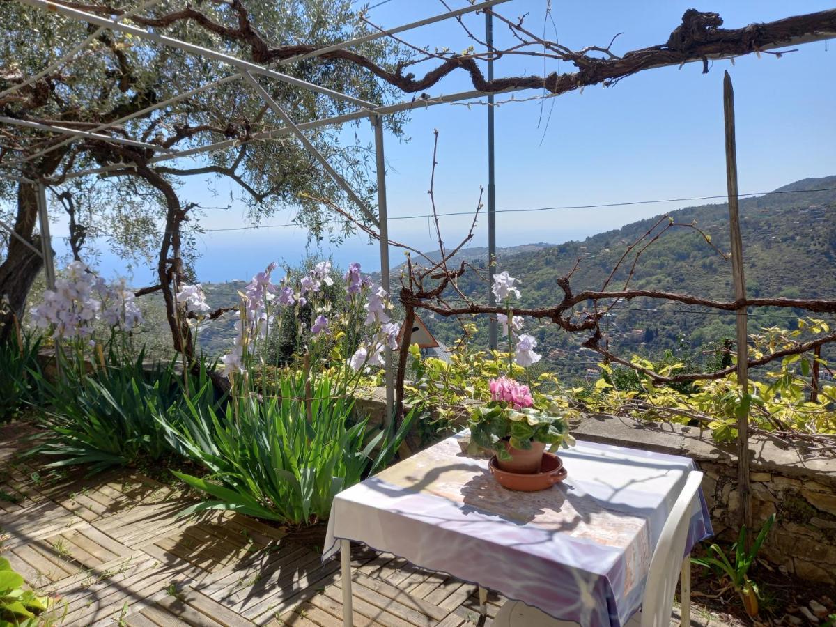 La Casa Di Elda Daire Sanremo Dış mekan fotoğraf